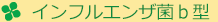 インフルエンザ菌ｂ型